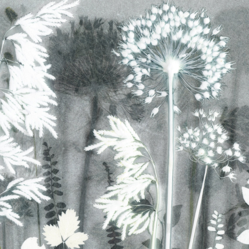 Dappled Grey Grasses