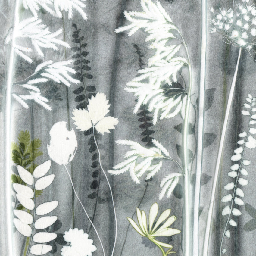 Dappled Grey Grasses
