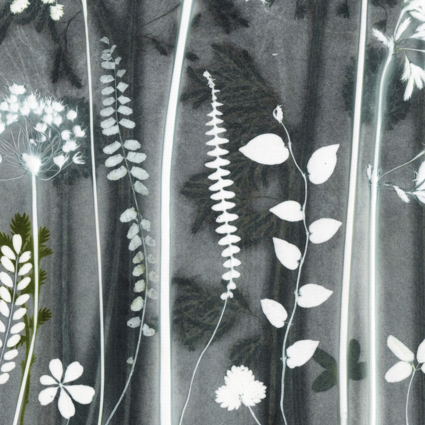 Dark Flowerbed