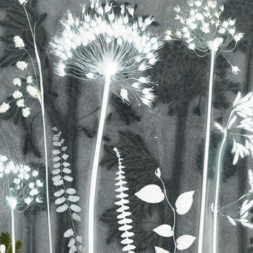 Dark Flowerbed