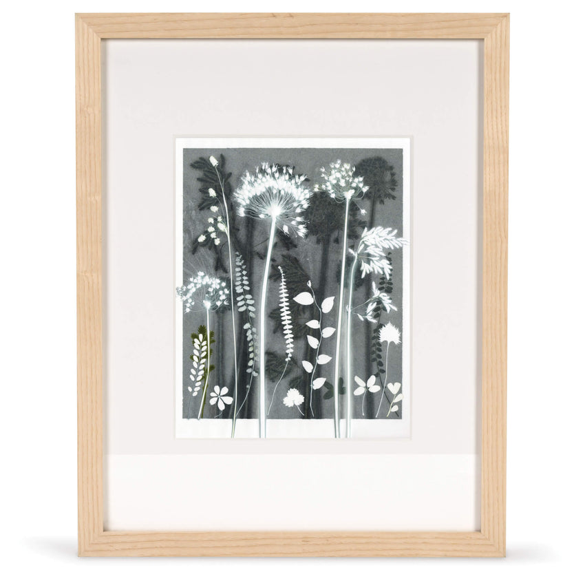 Dark Flowerbed