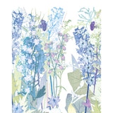 Delphinium Garden