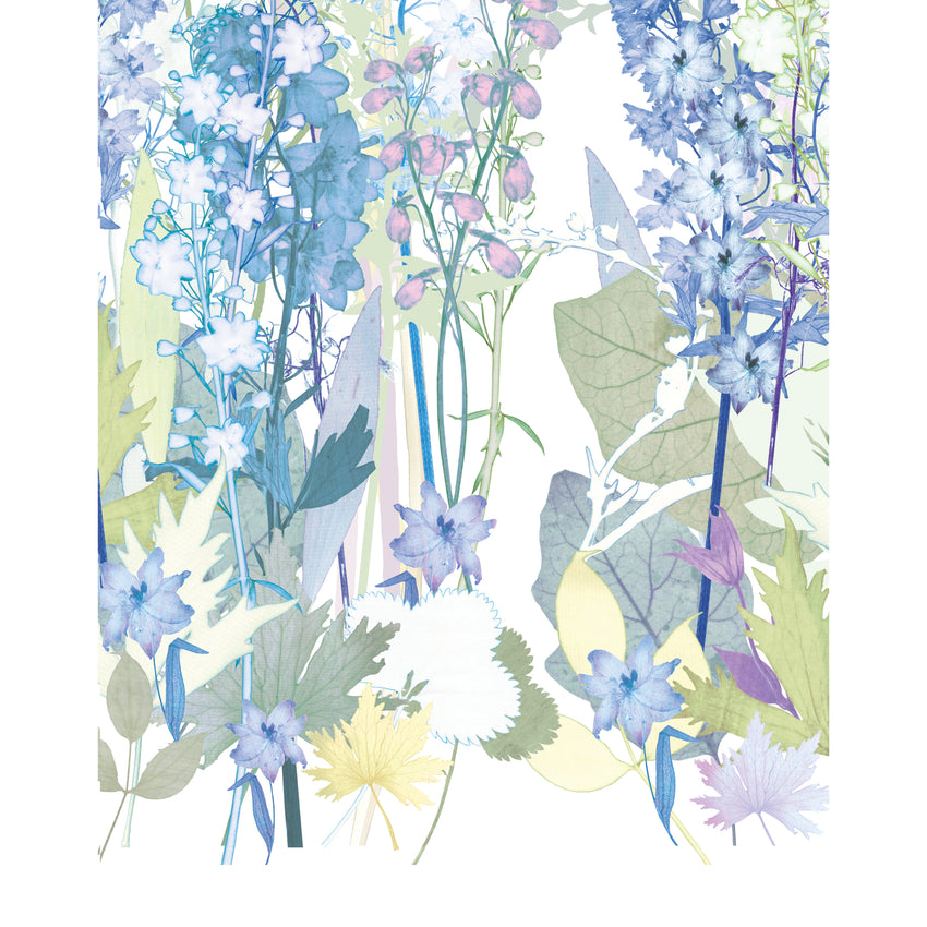 Delphinium Garden