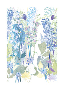 Delphinium Garden