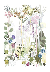Dill Garden