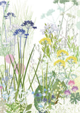 Dry Garden Greetings Card
