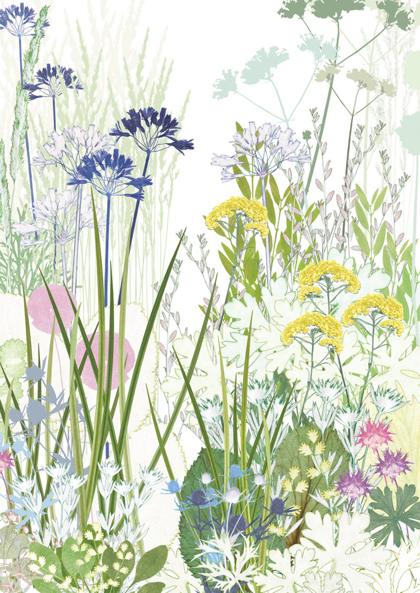Dry Garden Greetings Card