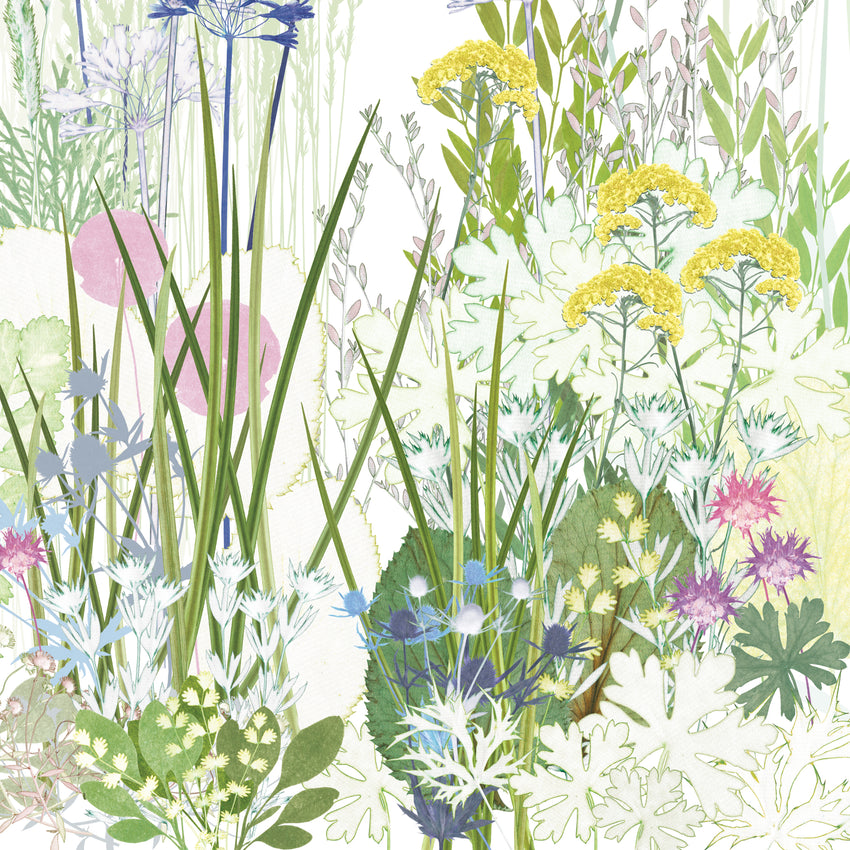 Dry Garden Print