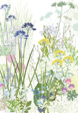 Dry Garden Print