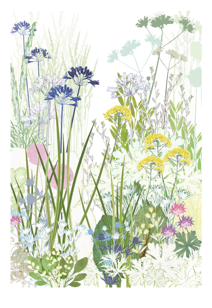 Dry Garden Print