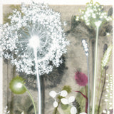 Dusky Garden