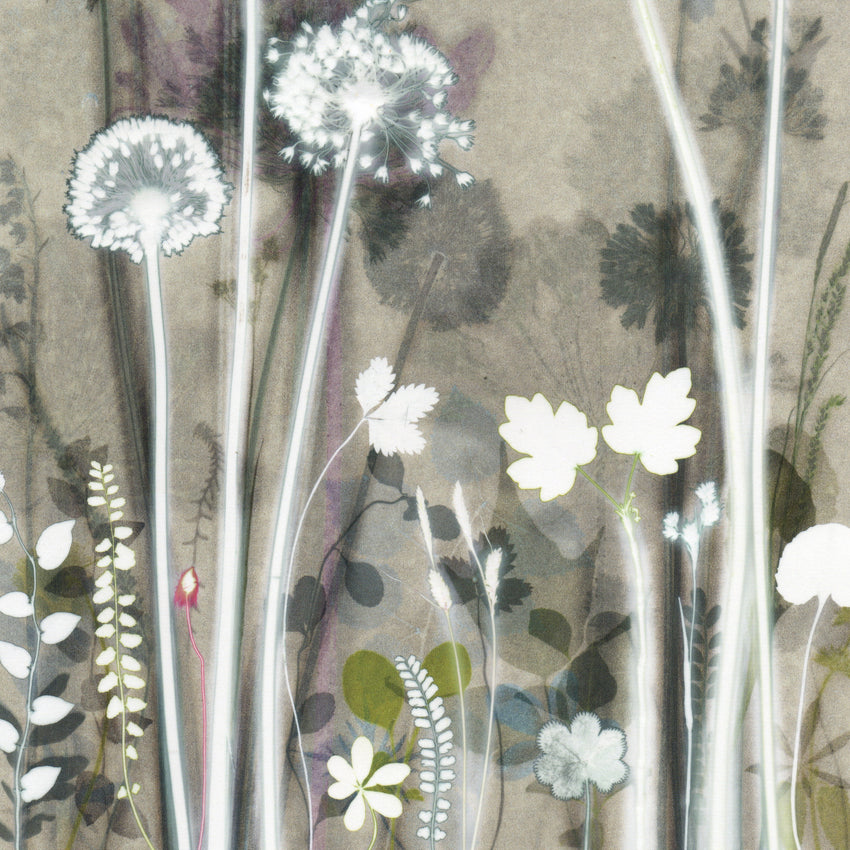 Dusky Flowerbed Floor Original Print 24 x 18 inches