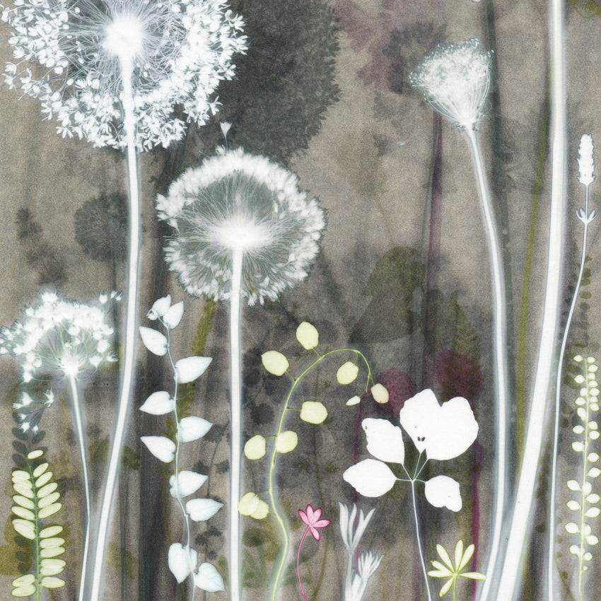 Dusty Flowerbed Study Original Print 40 x 50 cm