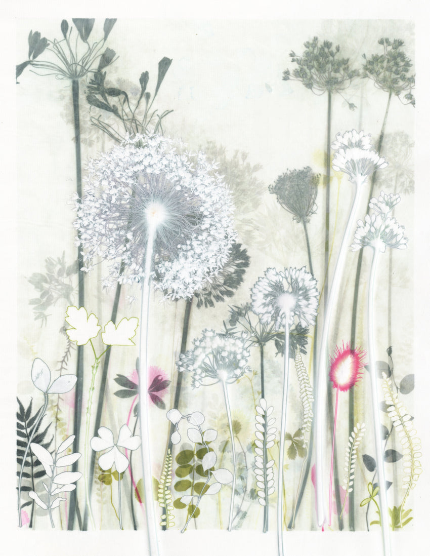 Elegant Alliums Original Print 24 x18 inches