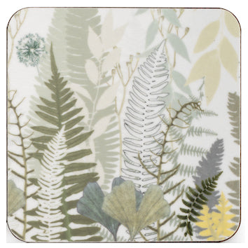 Fern Coaster