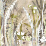 Ferns from Vancouver Island 40 x 50 cm