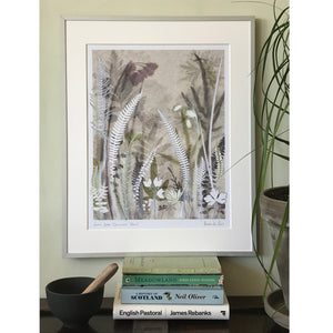 Ferns from Vancouver Island 40 x 50 cm