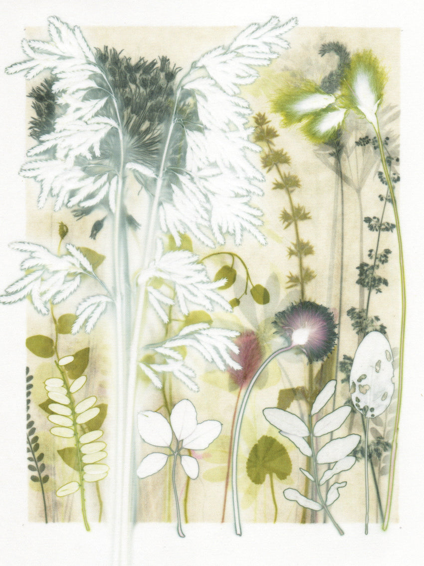 Flowerbed Detail, 30 x 40