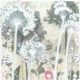Four Pale Alliums, 30 x 40