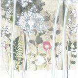 Four Pale Alliums, 30 x 40