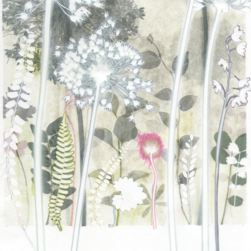 Four Pale Alliums, 30 x 40