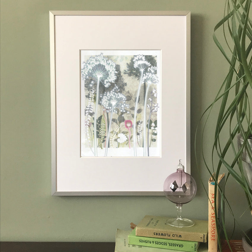 Four Pale Alliums, 30 x 40
