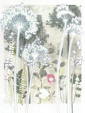 Four Pale Alliums, 30 x 40