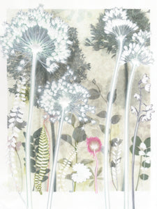 Four Pale Alliums, 30 x 40