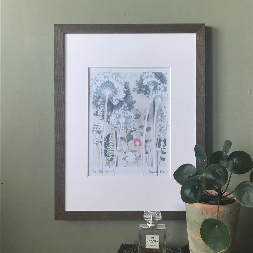 Four Pale Alliums, 30 x 40