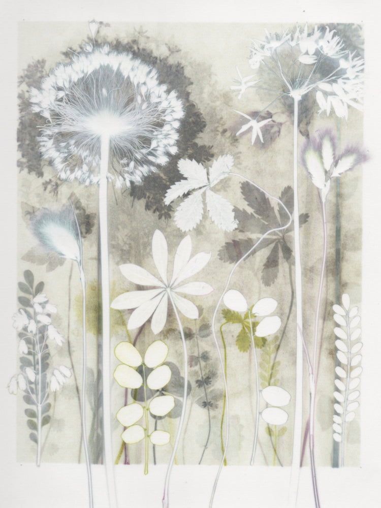 Frosty Border