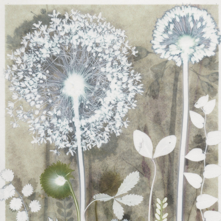 Frosty Garden