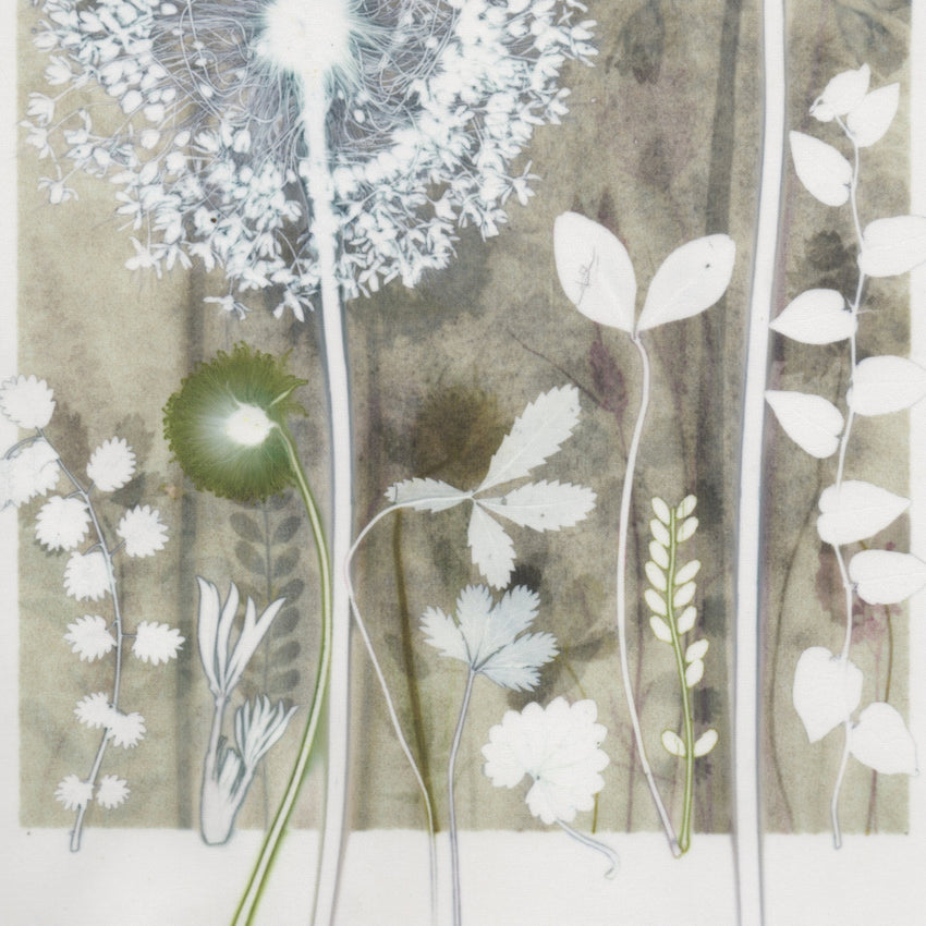 Frosty Garden