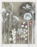 Garden Shadows Study
