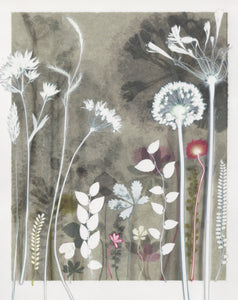 Garden Shadows Study