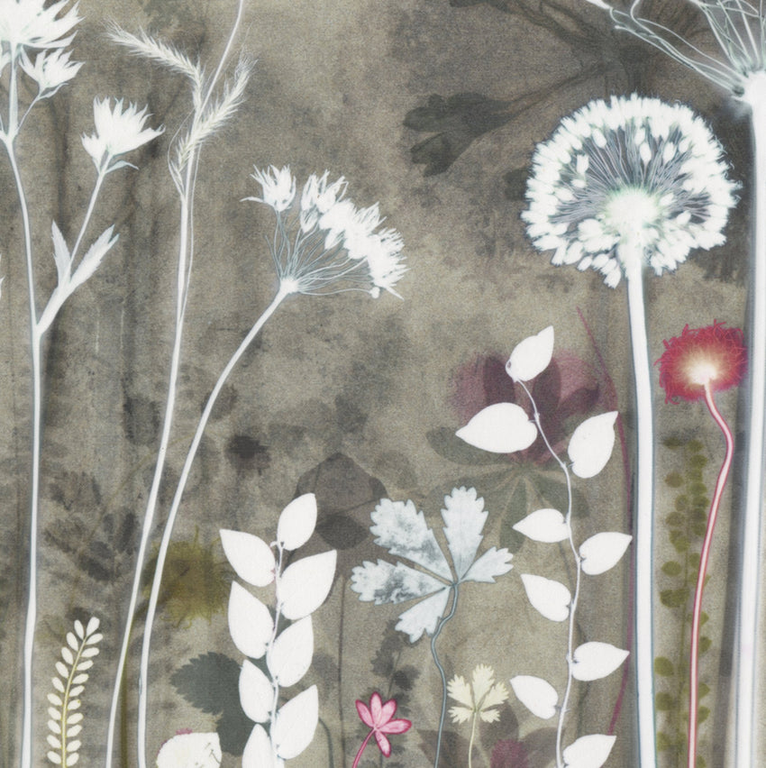 Garden Shadows Study