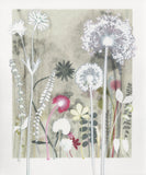 'Glowing Clematis Seedhead' Print