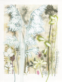 Grasses from South Africa, 30 x 40