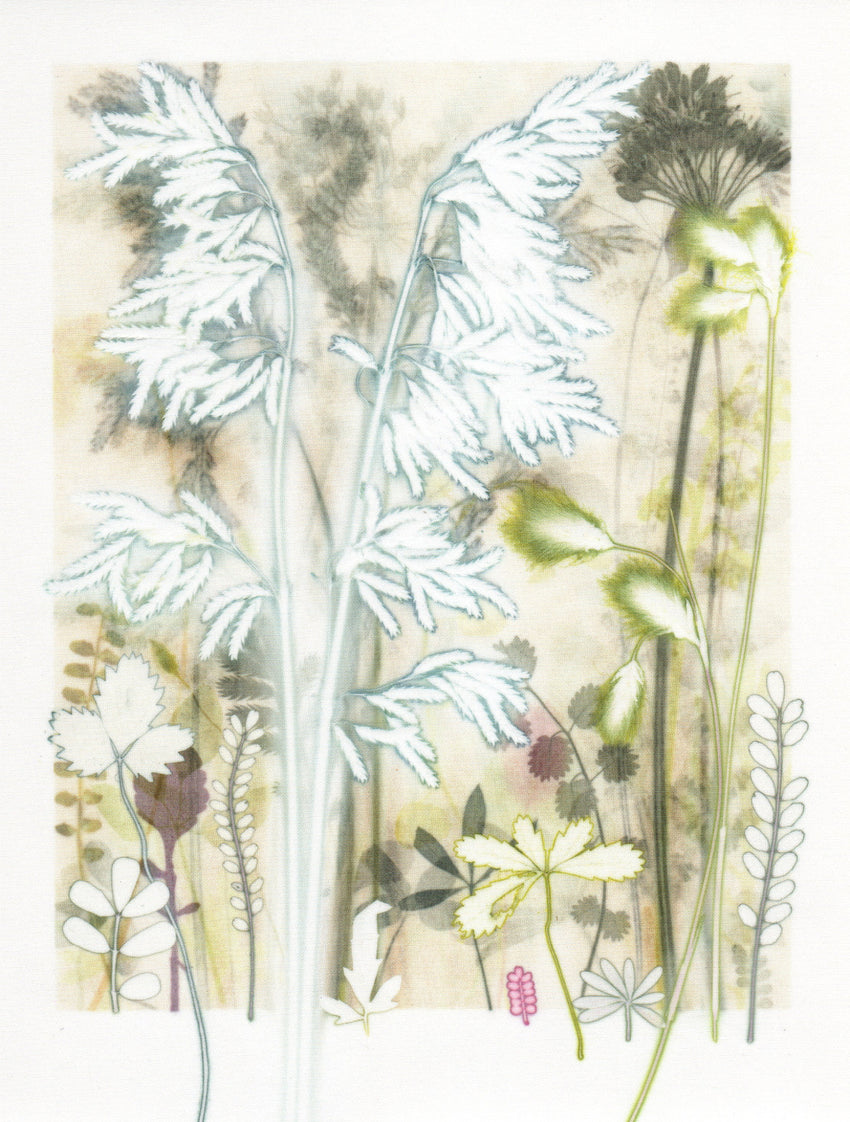 Grasses from South Africa, 30 x 40