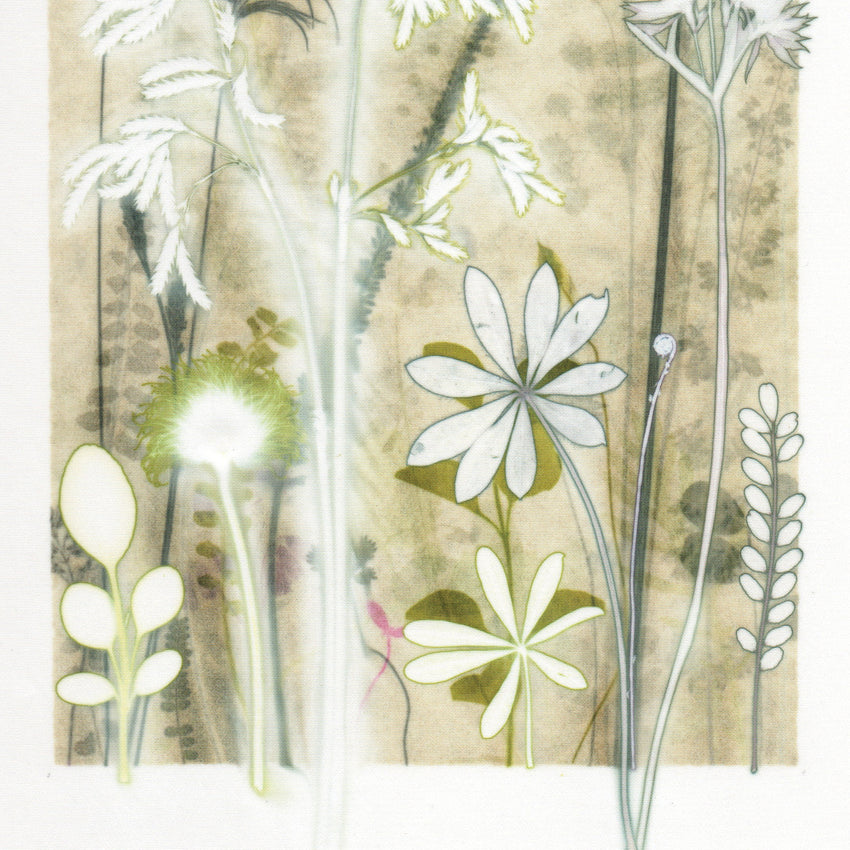 Grassland Study, 30 x 40 cm