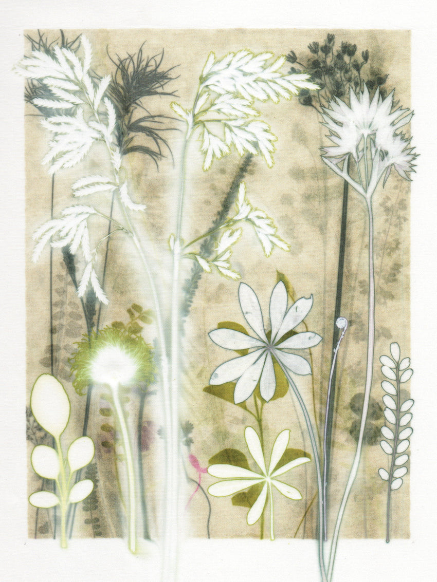 Grassland Study, 30 x 40 cm