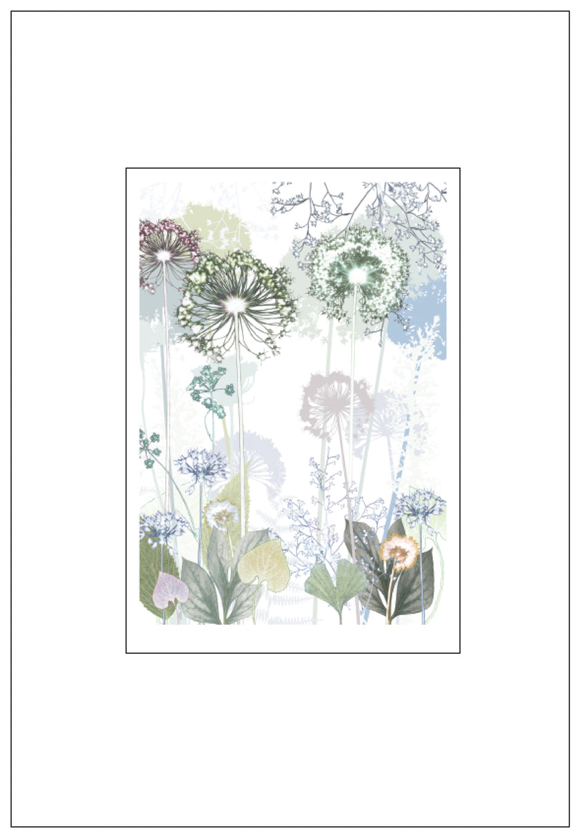 Green Allium Print
