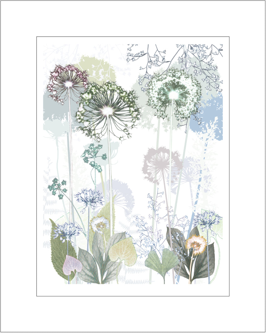 Green Allium Print