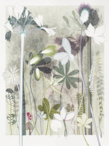 Green Cotton Sedge, 30 x 40 cm