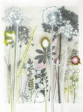 Green Hare's Tail Grass, 30 x 40