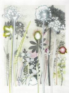 Green Hare's Tail Grass, 30 x 40