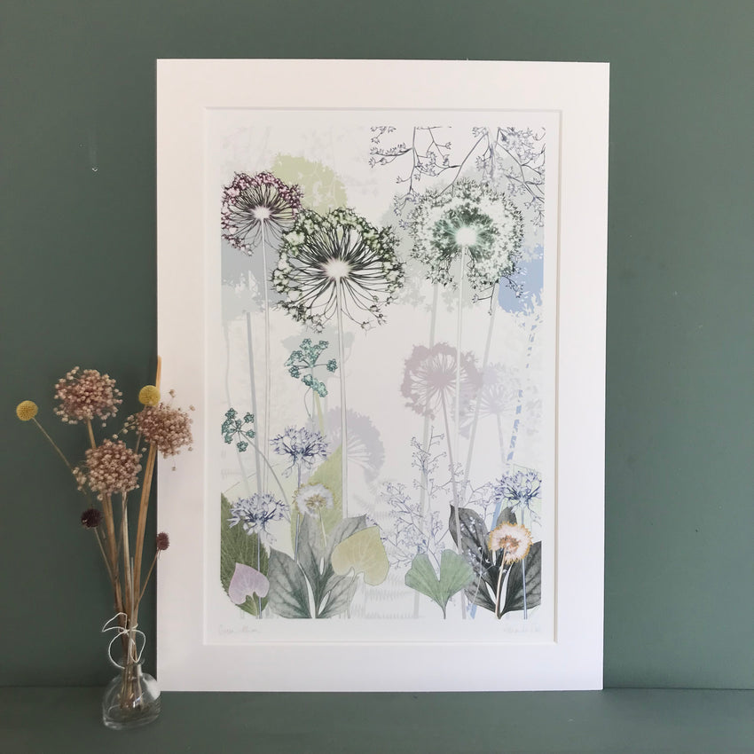Green Allium, large giclee print
