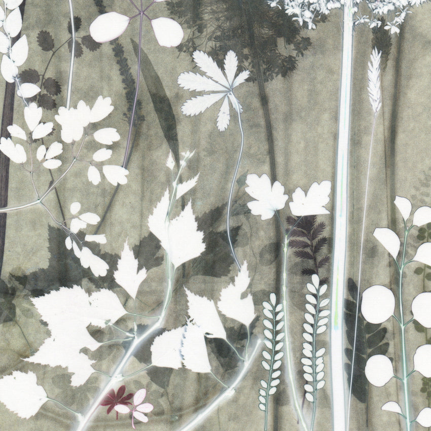 Grey Forest Study Original Print 40 x 50