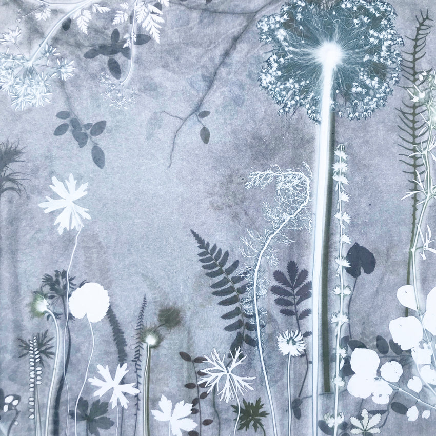 Grey Alliums and Cowparsley Original Print