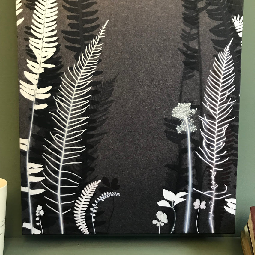 Grey Ferns 1 Panel