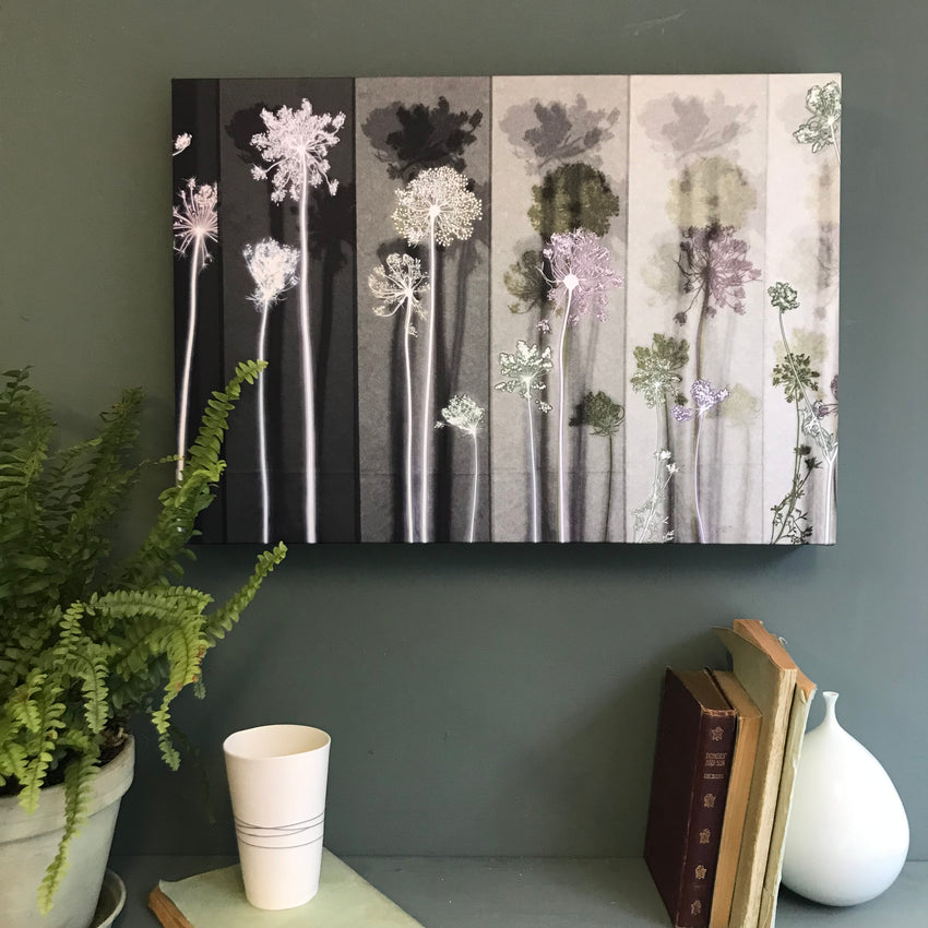 Grey Seedheads Panel